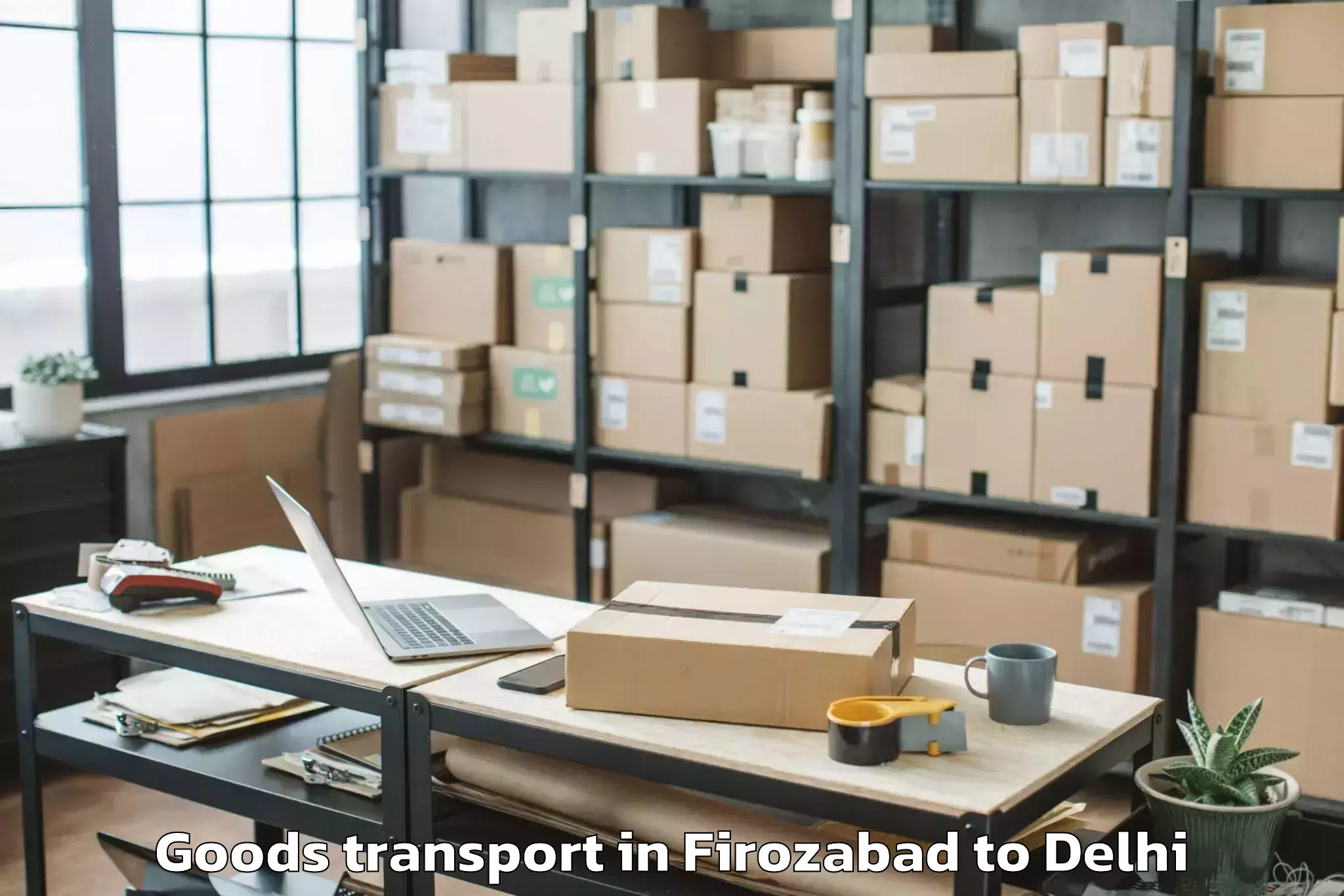 Professional Firozabad to Lodhi Road Goods Transport